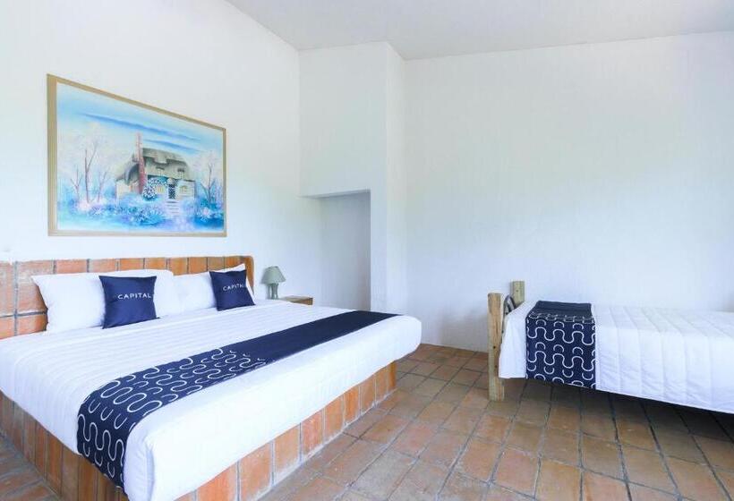 Cotlamani Hotel Aventura