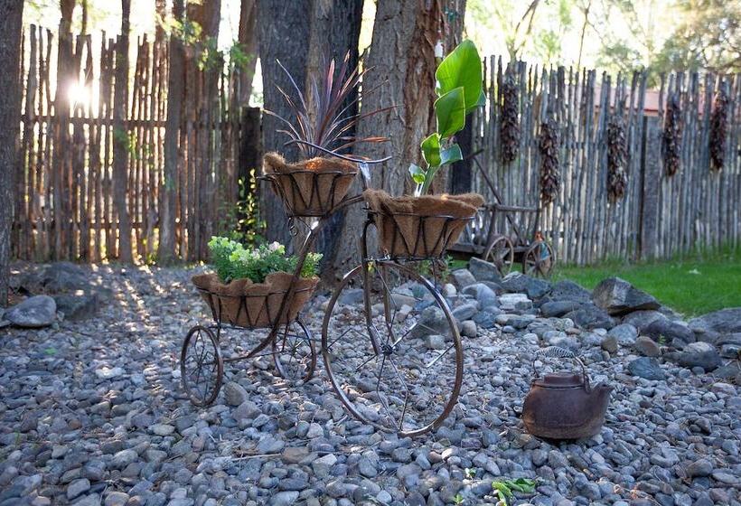 Dreamcatcher B&b