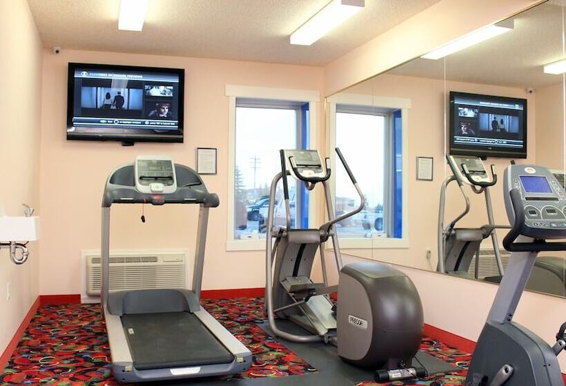 هتل Crystal Star Inn Edmonton Airport With Free Shuttle To And From Airport