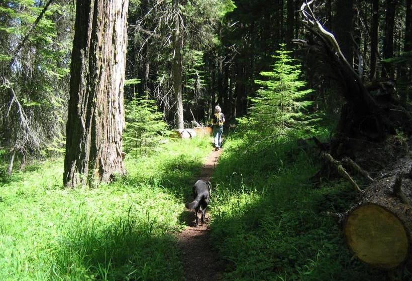 فندق Green Springs Inn & Cabins