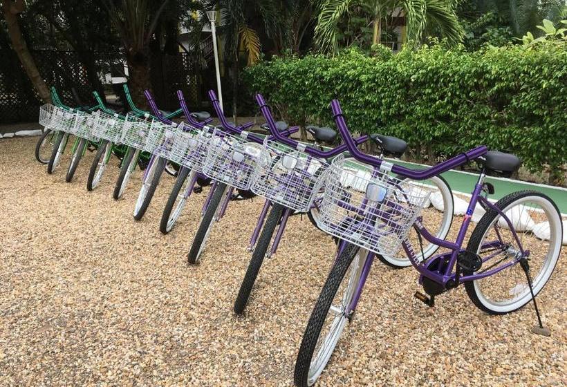 בית מלון כפרי Laru Beya All Inclusive Resort