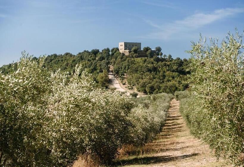 Tenuta Di Forte Sorgnano