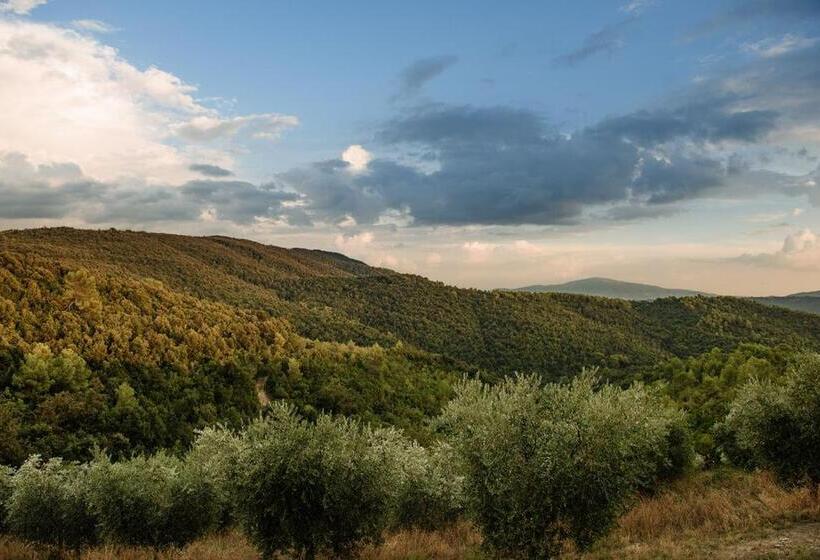 Tenuta Di Forte Sorgnano