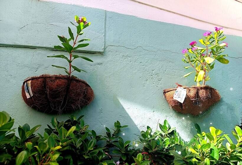 پانسیون Room In House   Posada Nativa Green Sea San Luis