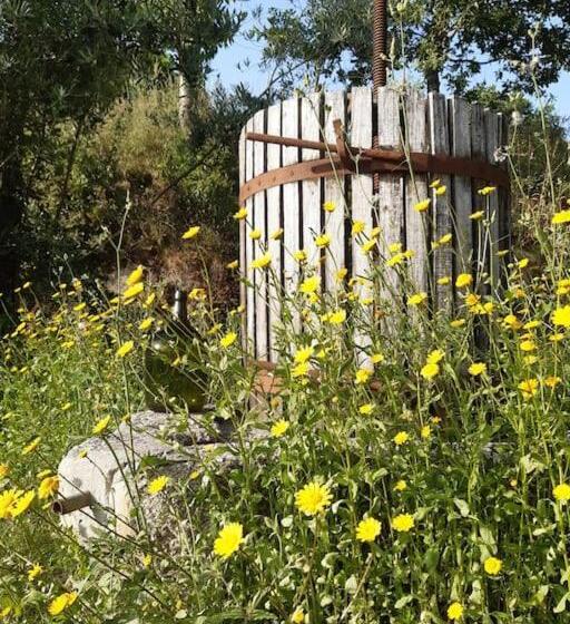 مبيت وإفطار A Casa Com 2 Pereiras