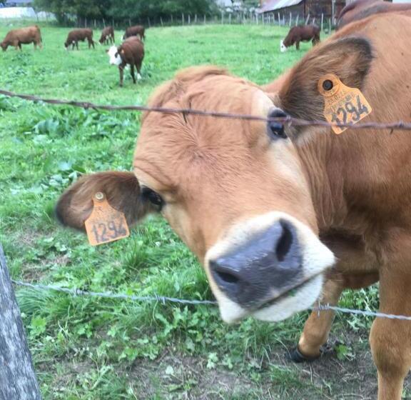 مبيت وإفطار Chambres D Hôtes Des Bauges Route 26 57