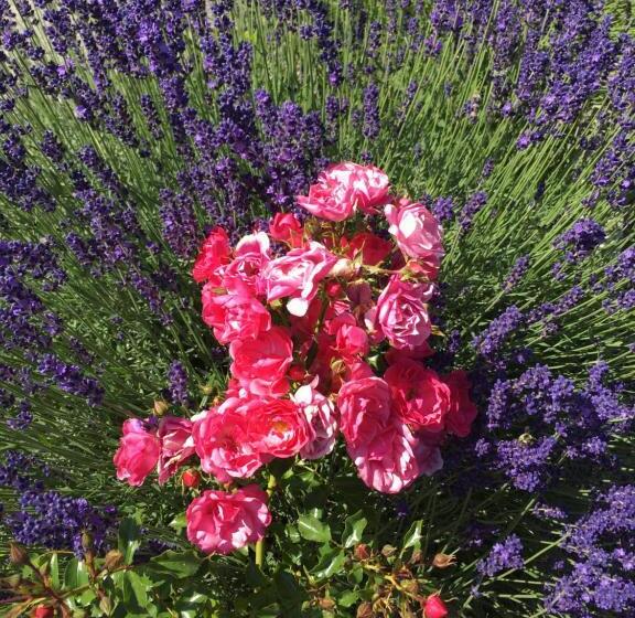 مبيت وإفطار Chambres D Hôtes Des Bauges Route 26 57