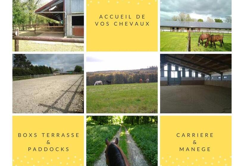 ベッドアンドブレックファースト Chambres D Hôtes Du Ranch