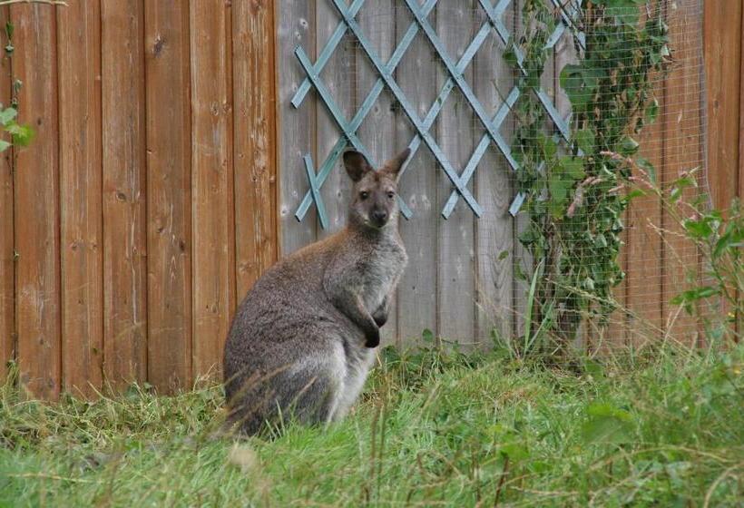 ベッドアンドブレックファースト Chambres D Hôtes Du Ranch