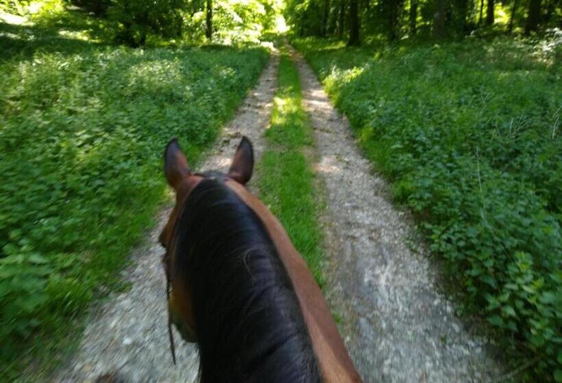 ベッドアンドブレックファースト Chambres D Hôtes Du Ranch