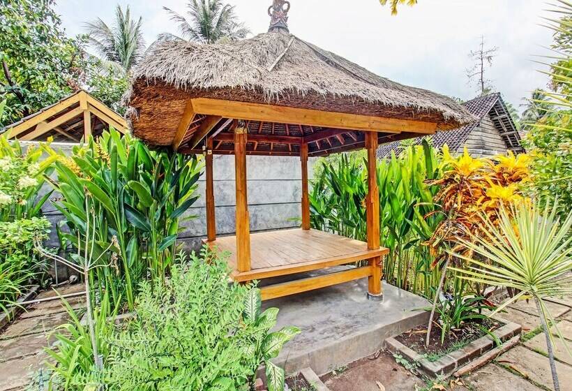 בית מלון כפרי Swan Homestay