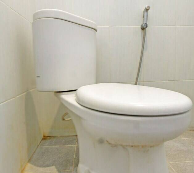 בית מלון כפרי Swan Homestay