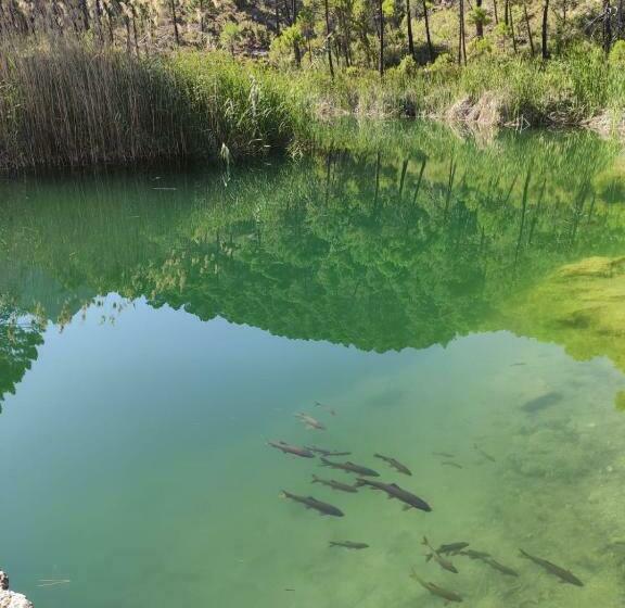 Pensión Pradera
