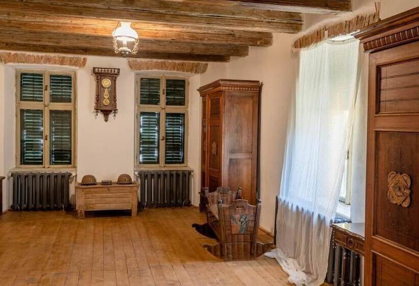 Пансион șura Din Seleuș Seleuș Barn Idyllic Countryside M Museum House