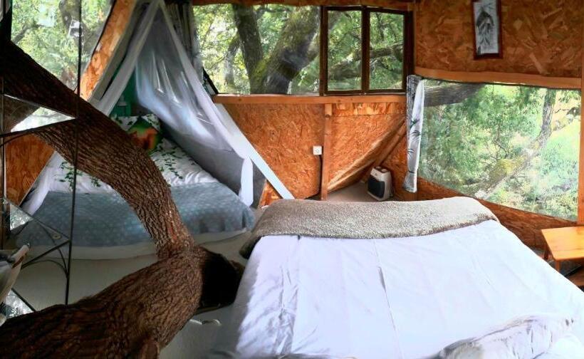 B&b La Cabane Insolite