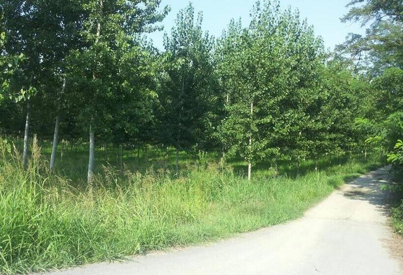 مبيت وإفطار Gaietta