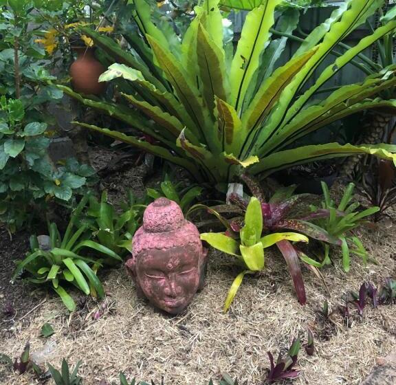 تختخواب و صبحانه Lakeside Bungalow