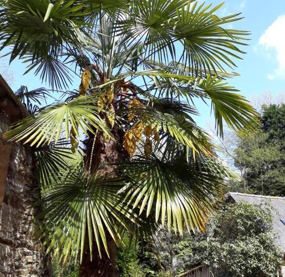 مبيت وإفطار Le Vieux Moulin