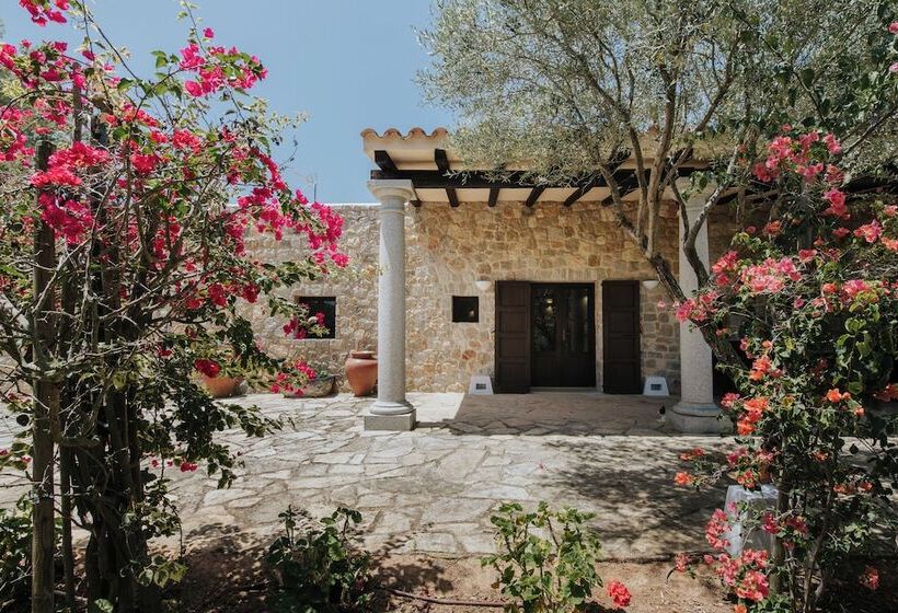 مبيت وإفطار Guesthouse Paissa D En Bernat