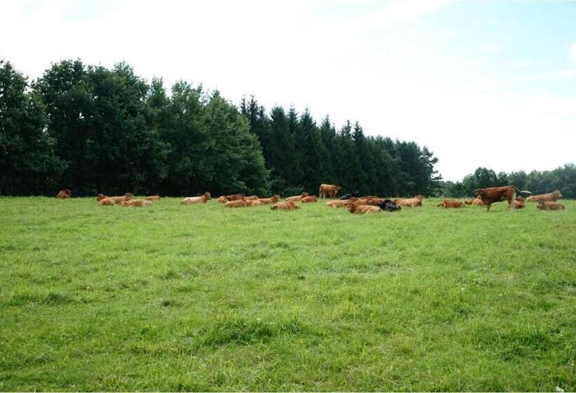 فندق Złota Leśniczówka