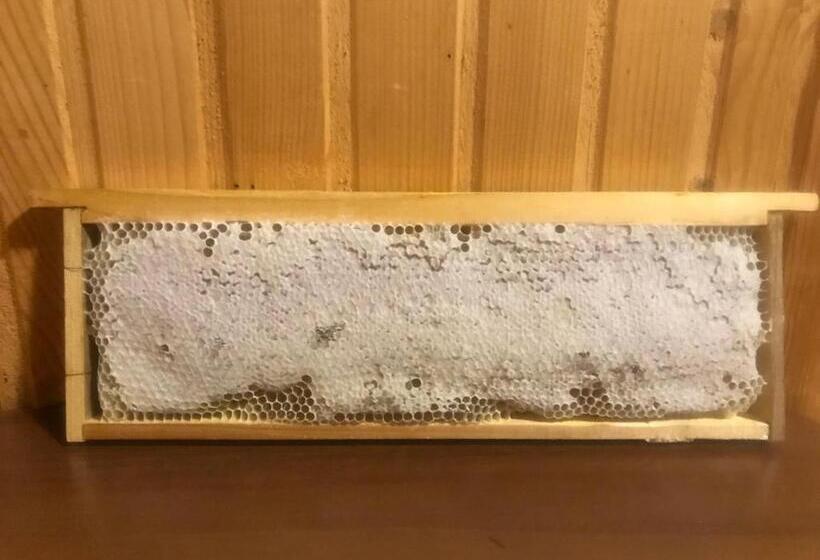 ペンション у олега