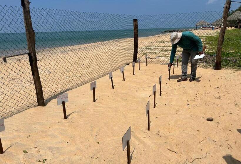 ペンション Dune Towers
