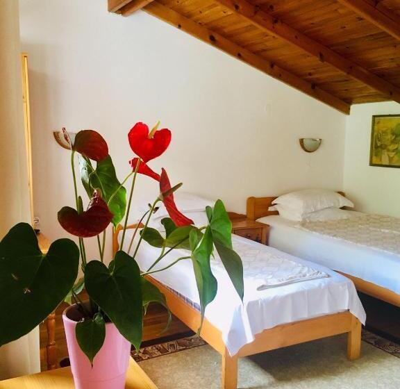بنسيون Guest House Barbov