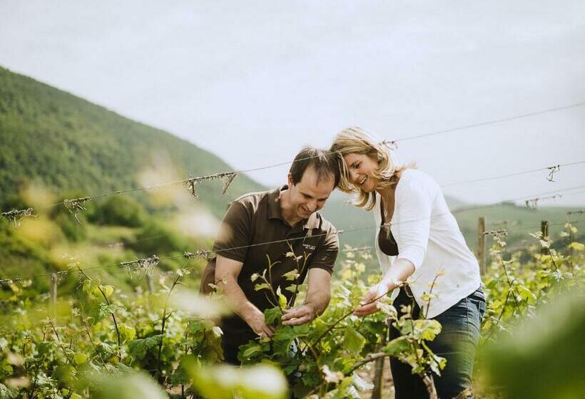 ペンション Weingut Und Gästehaus Holger Alt