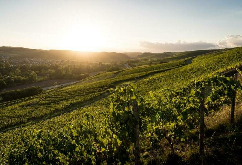 ペンション Weingut Und Gästehaus Holger Alt