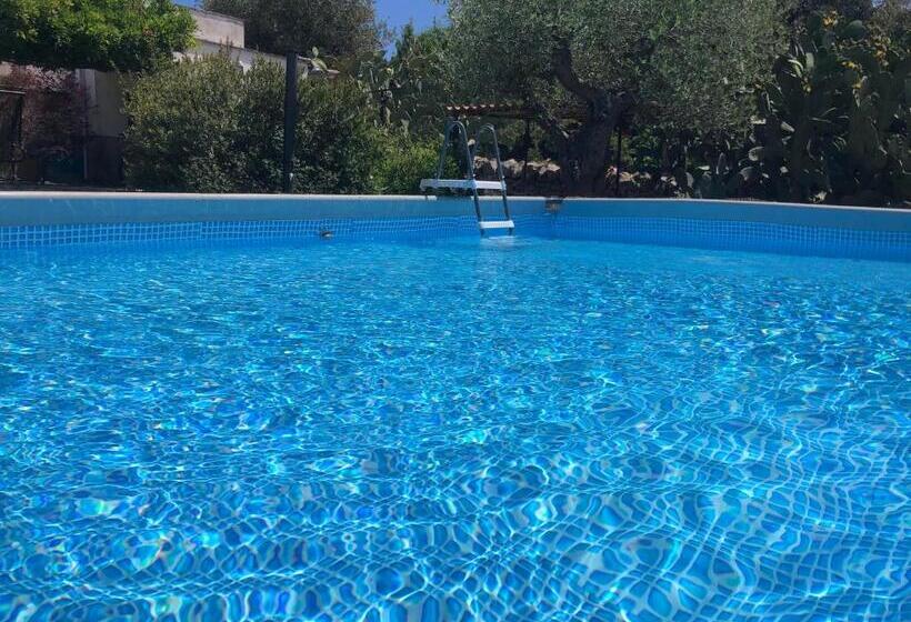 تختخواب و صبحانه Villa Enea Monopoli