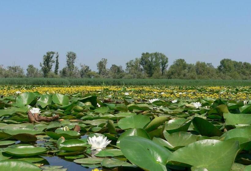 פנסיון All Inn Köre