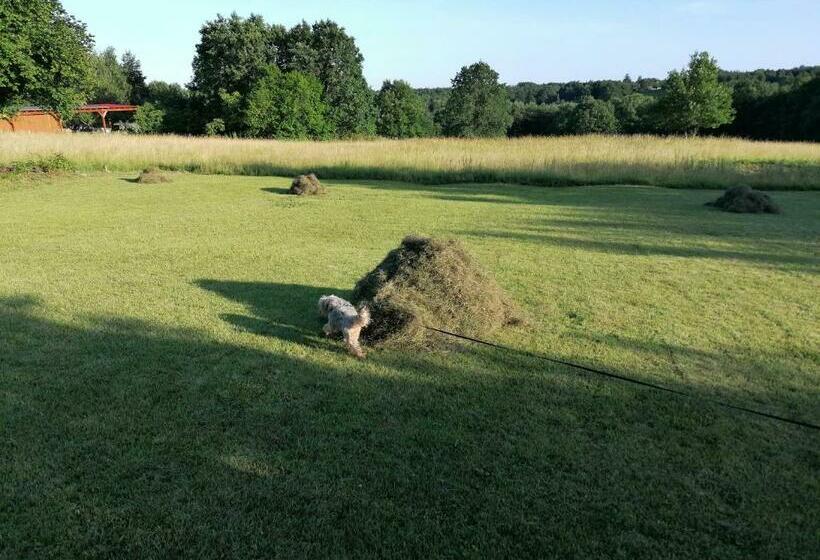 بنسيون Orbán Porta