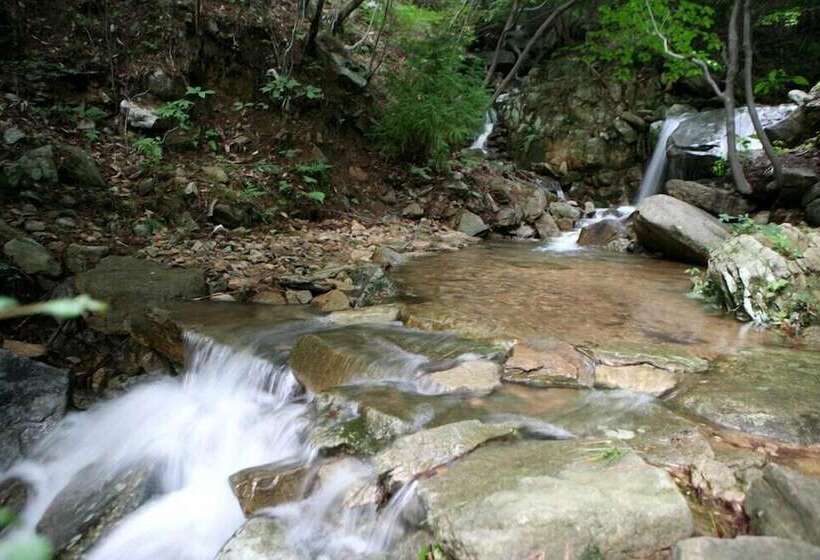 فندق Palsecjo Pension