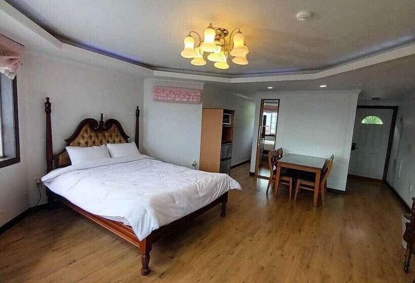 فندق Palsecjo Pension