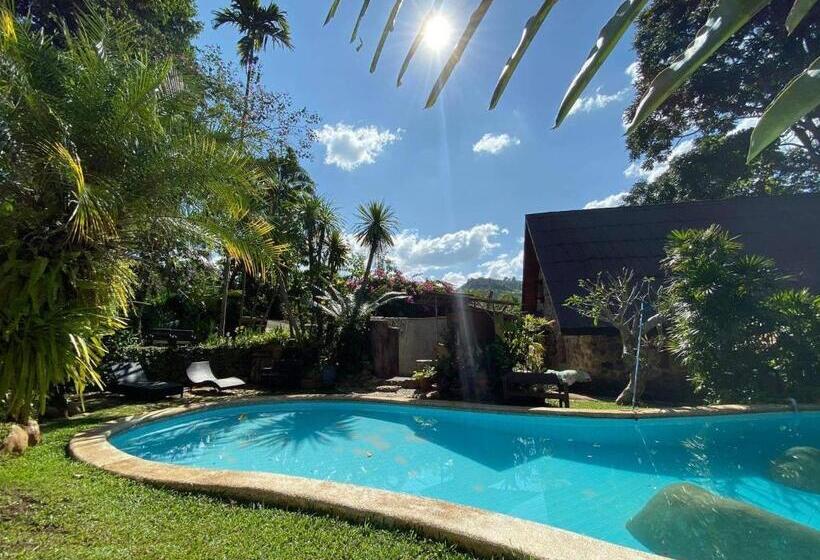 هتل Little Eden Guesthouse