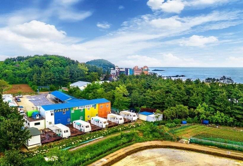 ホテル Goseong Jjun Camping Pension