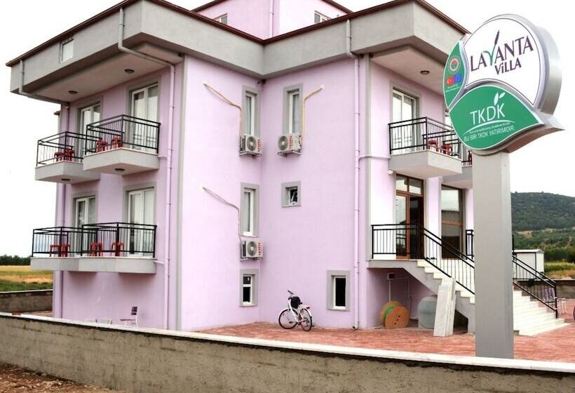 فندق Lavanta Villa
