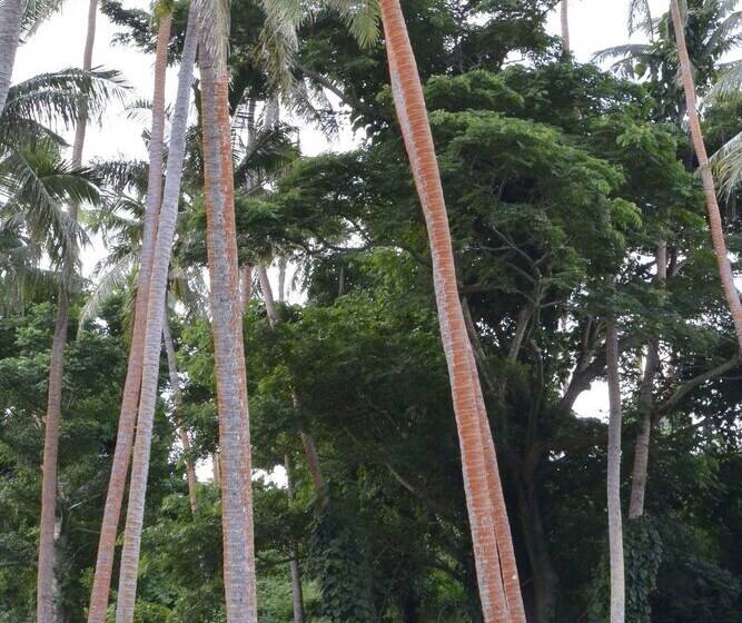 هتل Waitui Basecamp   Hostel