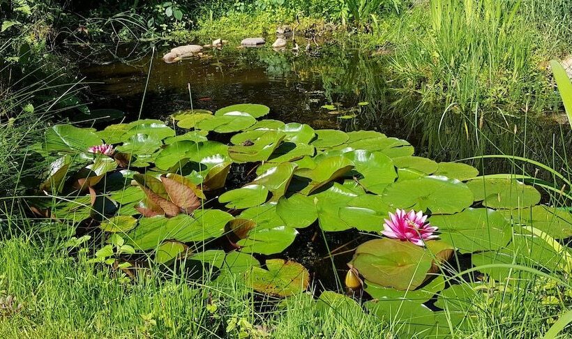 هتل Ferienhaus Potsdam In Fichtenwalde