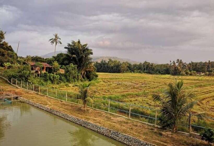 هتل Guesthouse Beluru