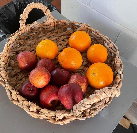 فندق صغير Youth Shack Backpackers Darwin