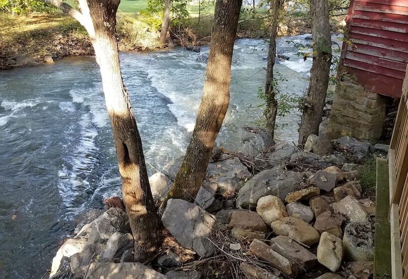 住宿加早餐  Hummingbird Inn