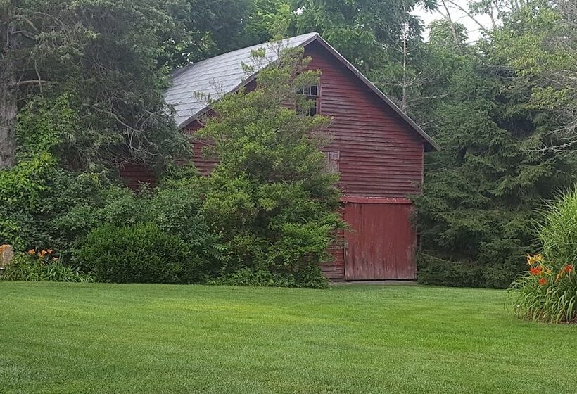 住宿加早餐  Hummingbird Inn