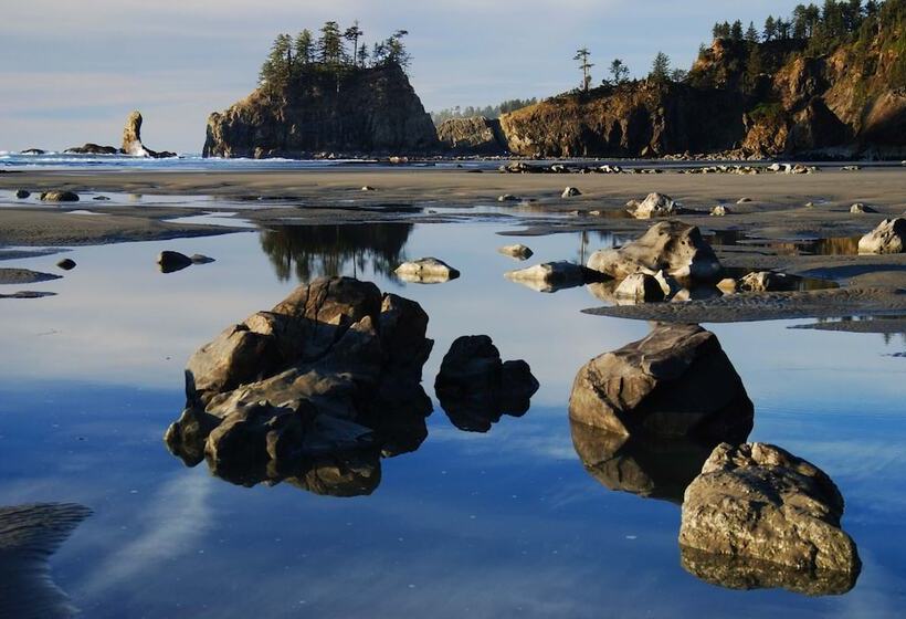 مبيت وإفطار Miller Tree Inn