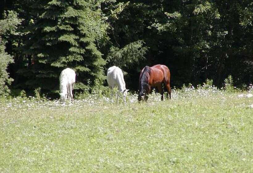 민박 The Inn On The Horse Farm