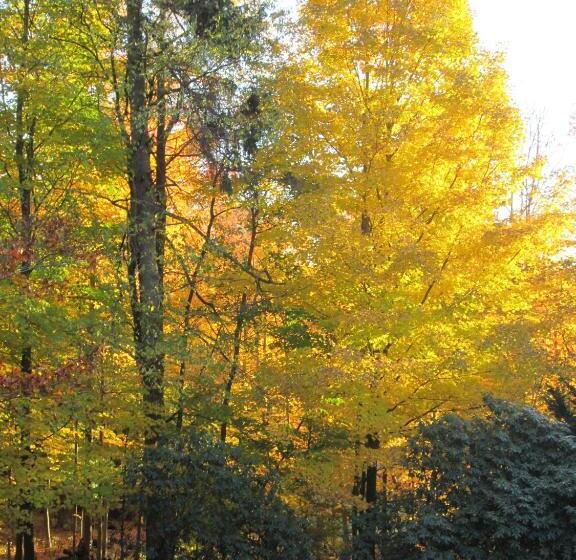 تختخواب و صبحانه Whistler's Inn