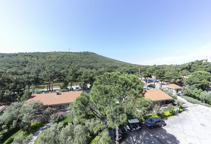 هتل D   Resort Ayvalık