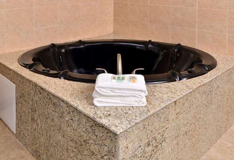 בית מלון כפרי Quality Inn & Suites Matteson Near I57