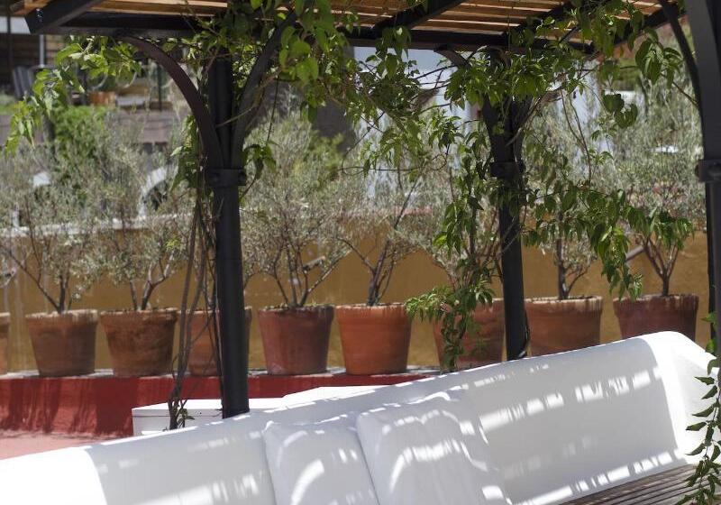 تختخواب و صبحانه Casa De Los Olivos