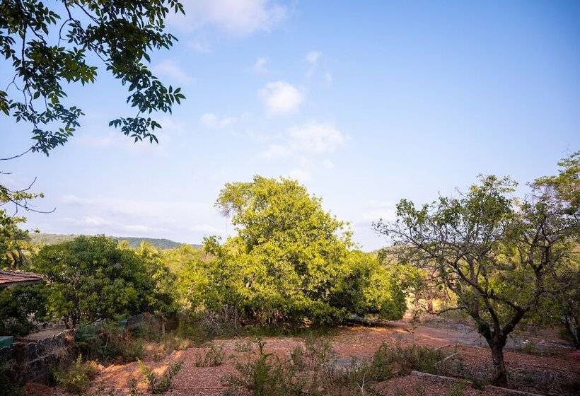 هتل La Oasis By Meraden